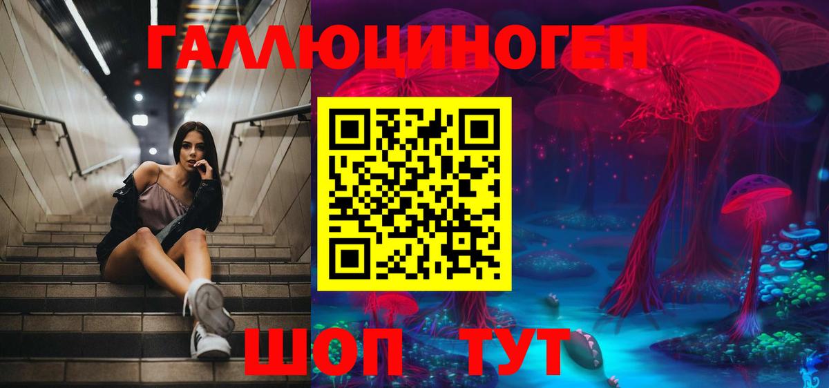 АМФ   Ачинск  Мефедрон кристаллы  Мефедрон  ГАШИШ  Гашиш  Экстази  Канабис  Вход с VPN 